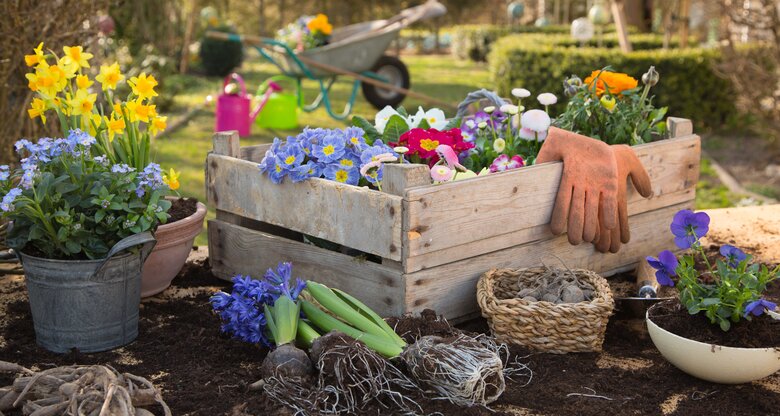 Eine Holzkiste mit vorgezogenen bunten Blumen auf einen Gartentisch mit weiteren Blumen in Töpfen. | © Jeanette Dietl / stock.adobe.com